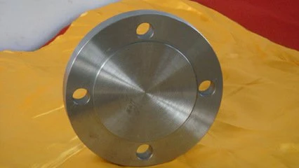 API  6 A Type  6 B  20. 7 MPA (3000 PSI) Bride aveugle RTJ